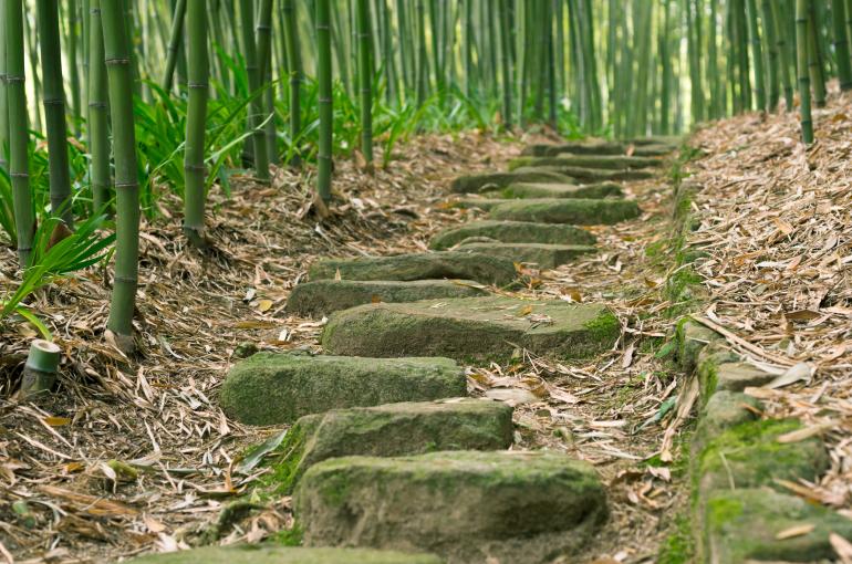 Outdoor steps