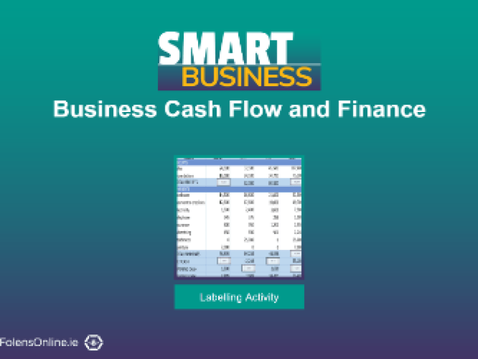 Cash Flow Statement Labelling Activity