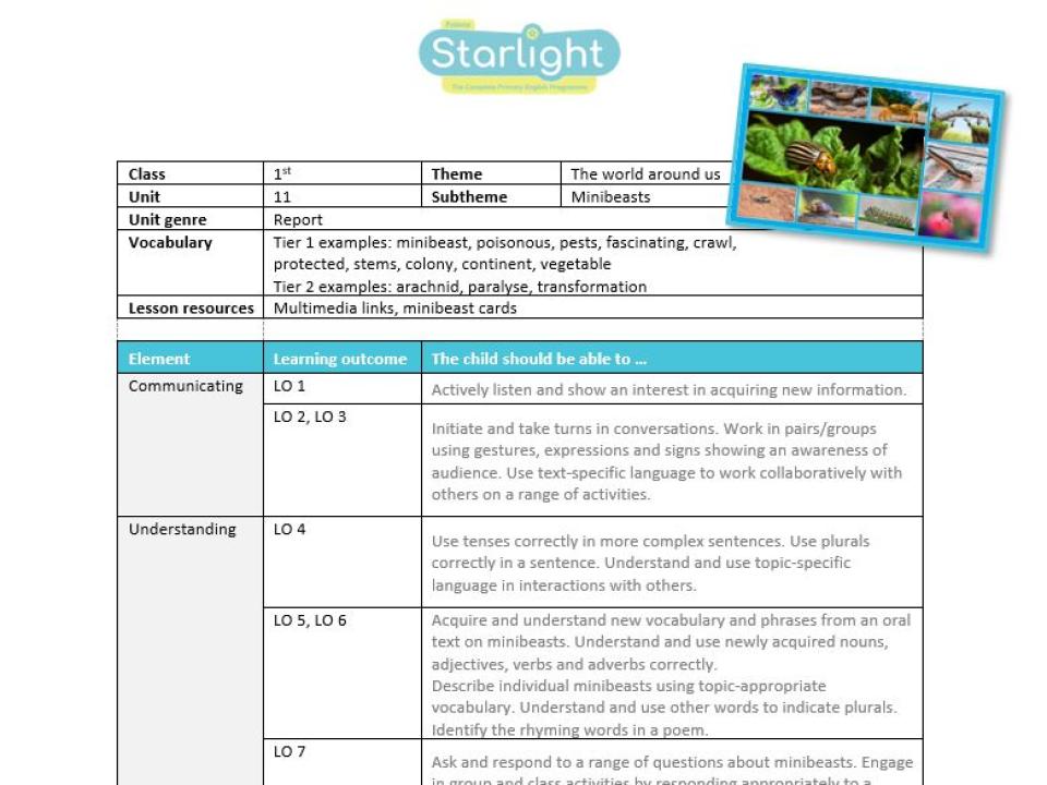 Lesson plan: Poster – 11. Minibeasts