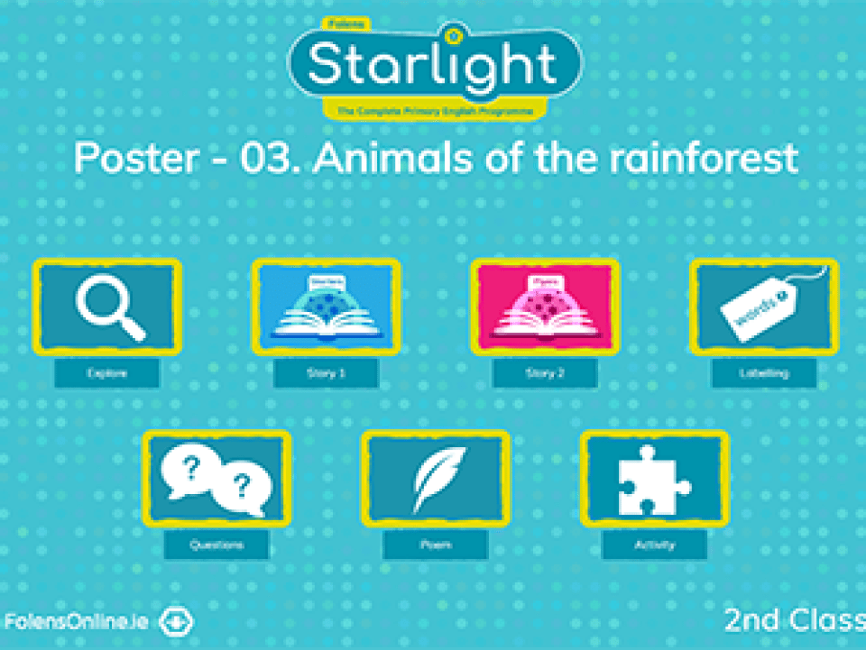 Poster – 03. Animals of the Rainforest