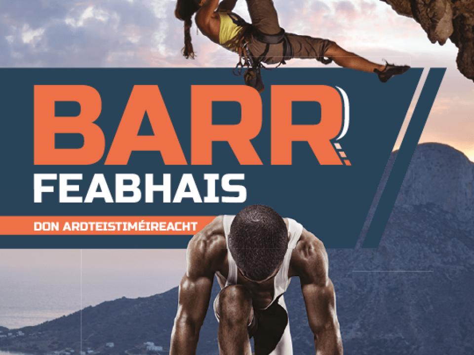 Barr Feabhais Don Ardteistiméireacht eBook