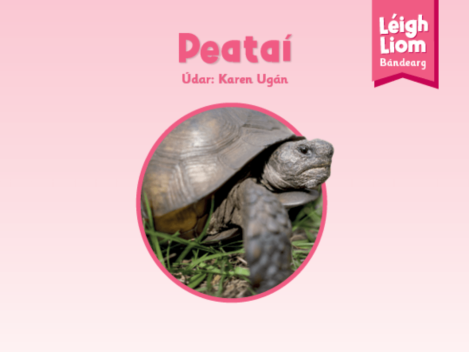 Pink (Level 1): Peataí - Thumbnail