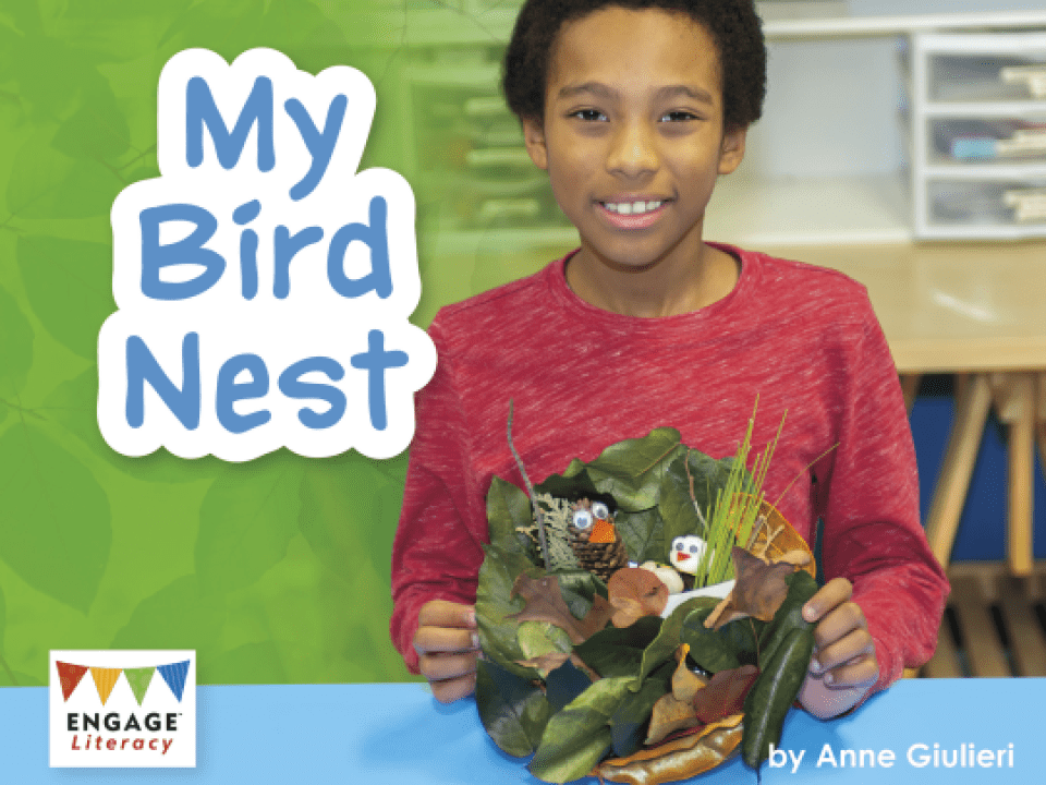 My Bird Nest Thumbnail