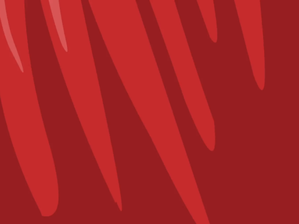 4th Class, Unit 11 Text (p.112) Thumbnail
