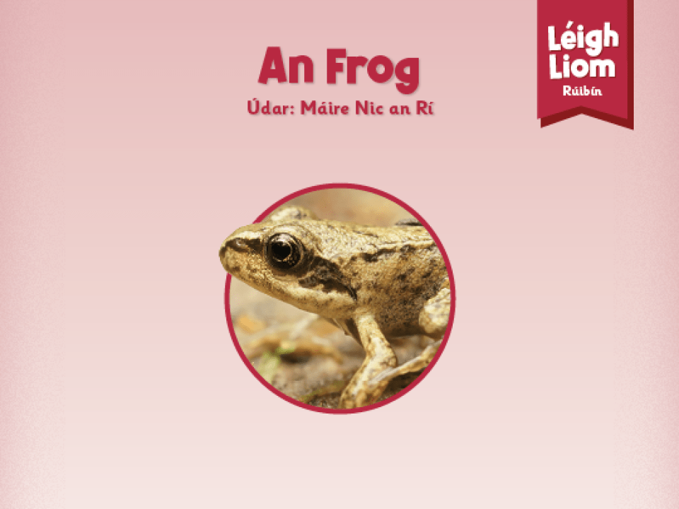Ruby (Level 12):An Frog Thumbnail 