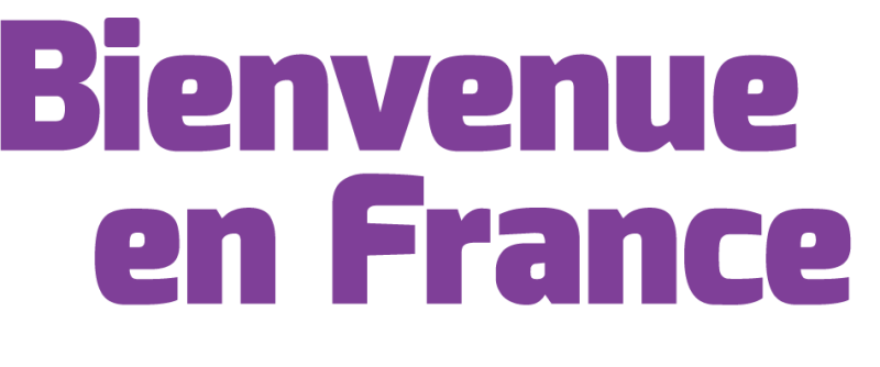Bienvenue en France junior cert French school book from Folens